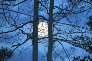 lenahan-beautiful-moon-2