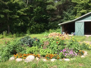 Happy Garden