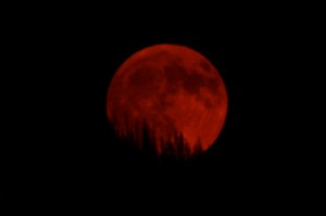 PeggyL.Full Red Moon rising.9-6-17